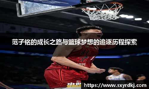 芒果体育官网入口