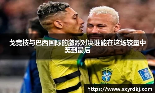 芒果体育官网入口